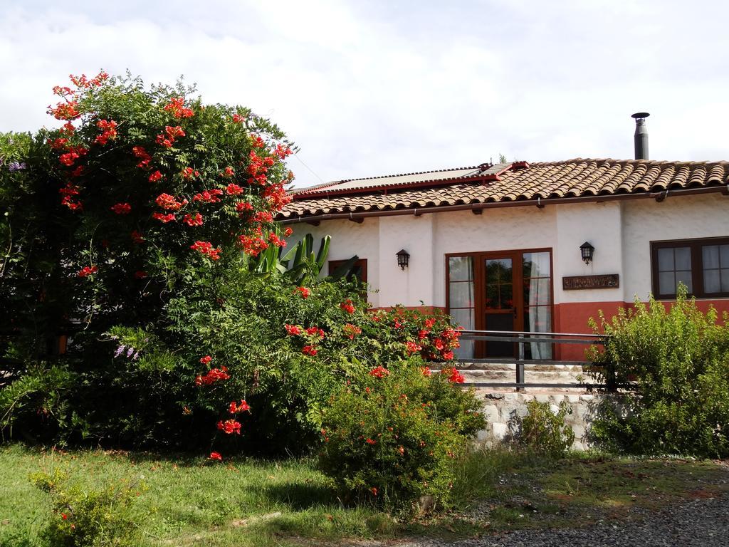 Casa Chueca - Divino Apartment Talca  Bilik gambar